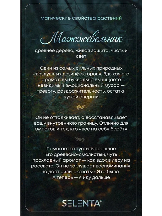 Selenta Эфирное масло Можжевельника Водорастворимое 10мл, 10 мл, фото 4