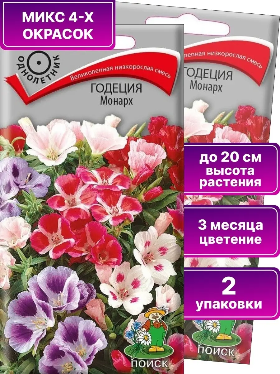 Семена цветов Годеция ПОИСК 72833210 купить за 184 ₽ в интернет-магазине  Wildberries