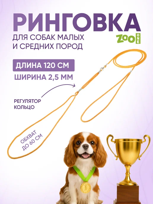 ZOOONE Ринговка для собак с кольцом, 3мм, оранжевый