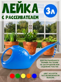 Лейка голубая 3л с рассеивателем Радиан 72902762 купить за 365 ₽ в интернет-магазине Wildberries