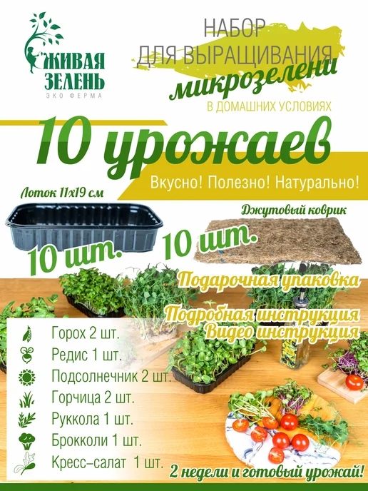Живая зелень Набор для проращивания микрозелени 10 урожаев, зеленый