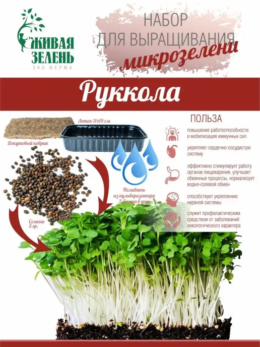 Живая зелень Набор для проращивания микрозелени 10 урожаев, зеленый, фото 7