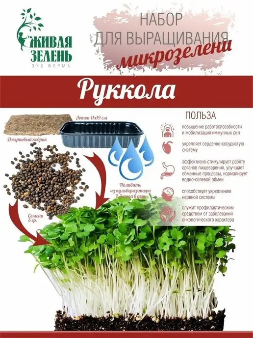 Живая зелень Набор для выращивания микрозелени 6 урожаев, зеленый, фото 5