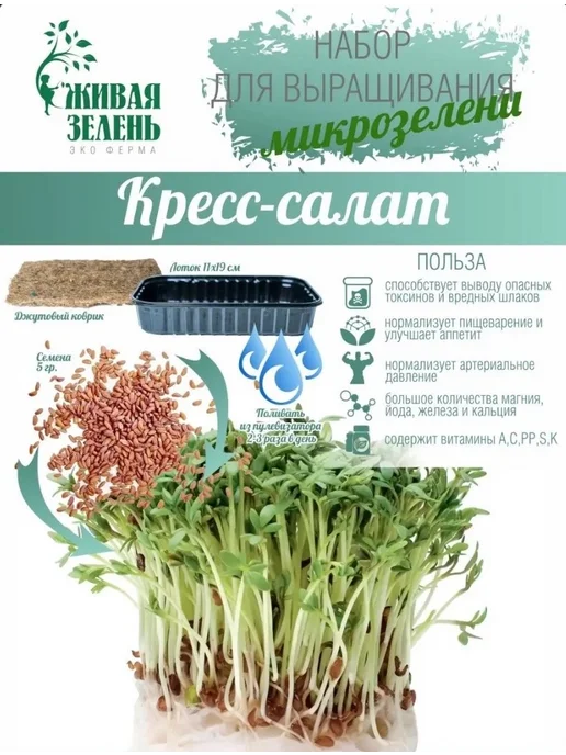 Живая зелень Набор для выращивания микрозелени 6 урожаев, зеленый, фото 7