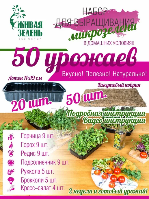 Живая зелень Микрозелень набор для выращивания 50 урожаев, зеленый