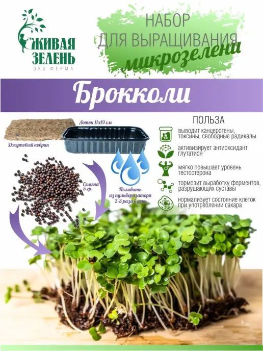 Живая зелень Микрозелень набор для выращивания 50 урожаев, зеленый, фото 2