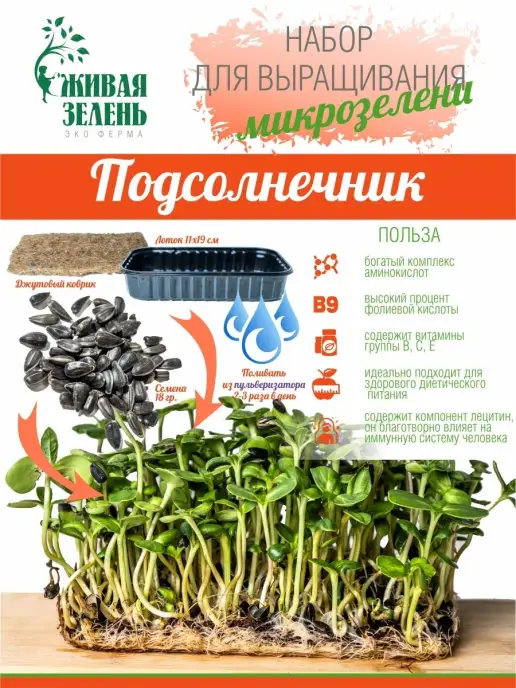 Живая зелень Микрозелень набор для выращивания 50 урожаев, зеленый, фото 5