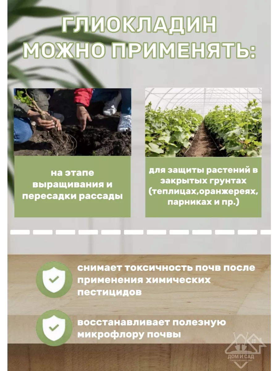 Глиокладин 100 таб АБТ Групп 72926895 купить за 270 ₽ в интернет-магазине  Wildberries