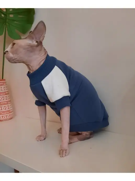GARB123 Толстовка свитер кофта для кошек сфинкс, одежда для сфинксов, фиолетовый, фото 4