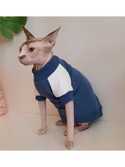 GARB123 Толстовка свитер кофта для кошек сфинкс, одежда для сфинксов, фиолетовый, фото 6