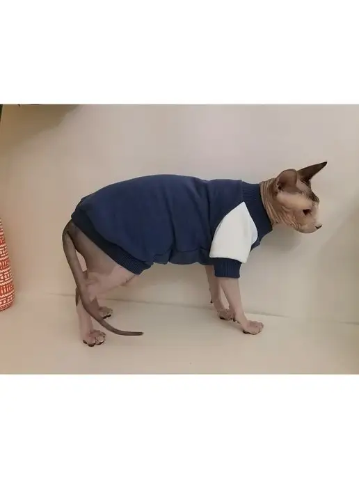 GARB123 Толстовка свитер кофта для кошек сфинкс, одежда для сфинксов, фиолетовый, фото 7