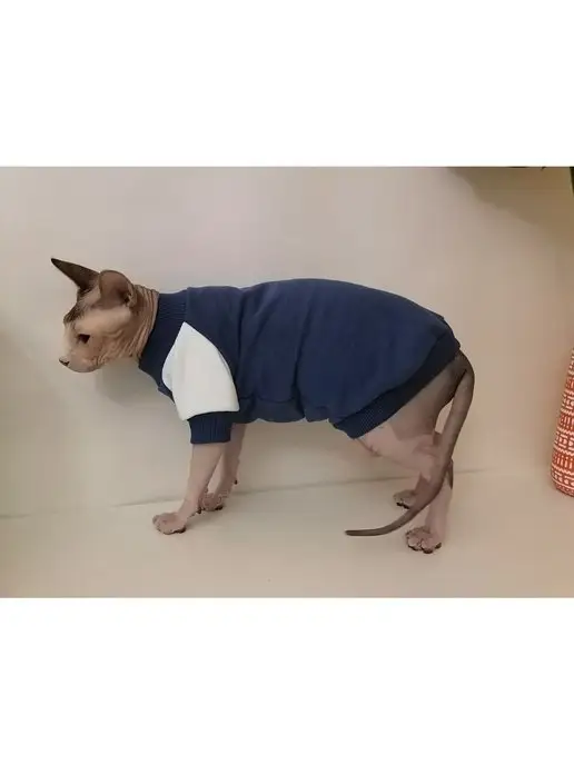 GARB123 Толстовка свитер кофта для кошек сфинкс, одежда для сфинксов, фиолетовый, фото 8
