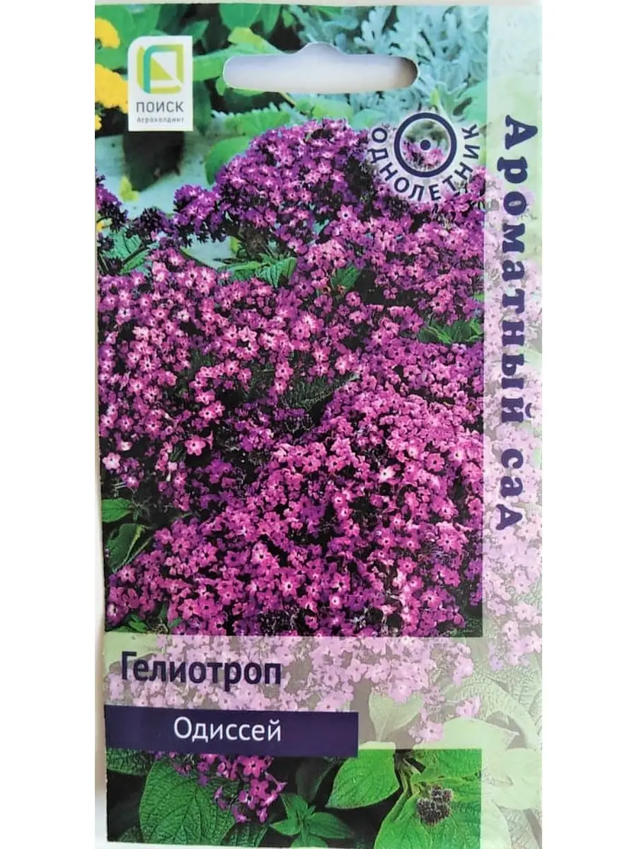 Гелиотроп Цветок Купить В Москве