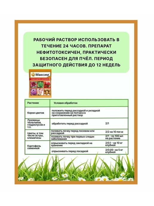 Гипермаркет удобрений Средство от болезней "Максим," 2 мл, 2 мл, фото 3
