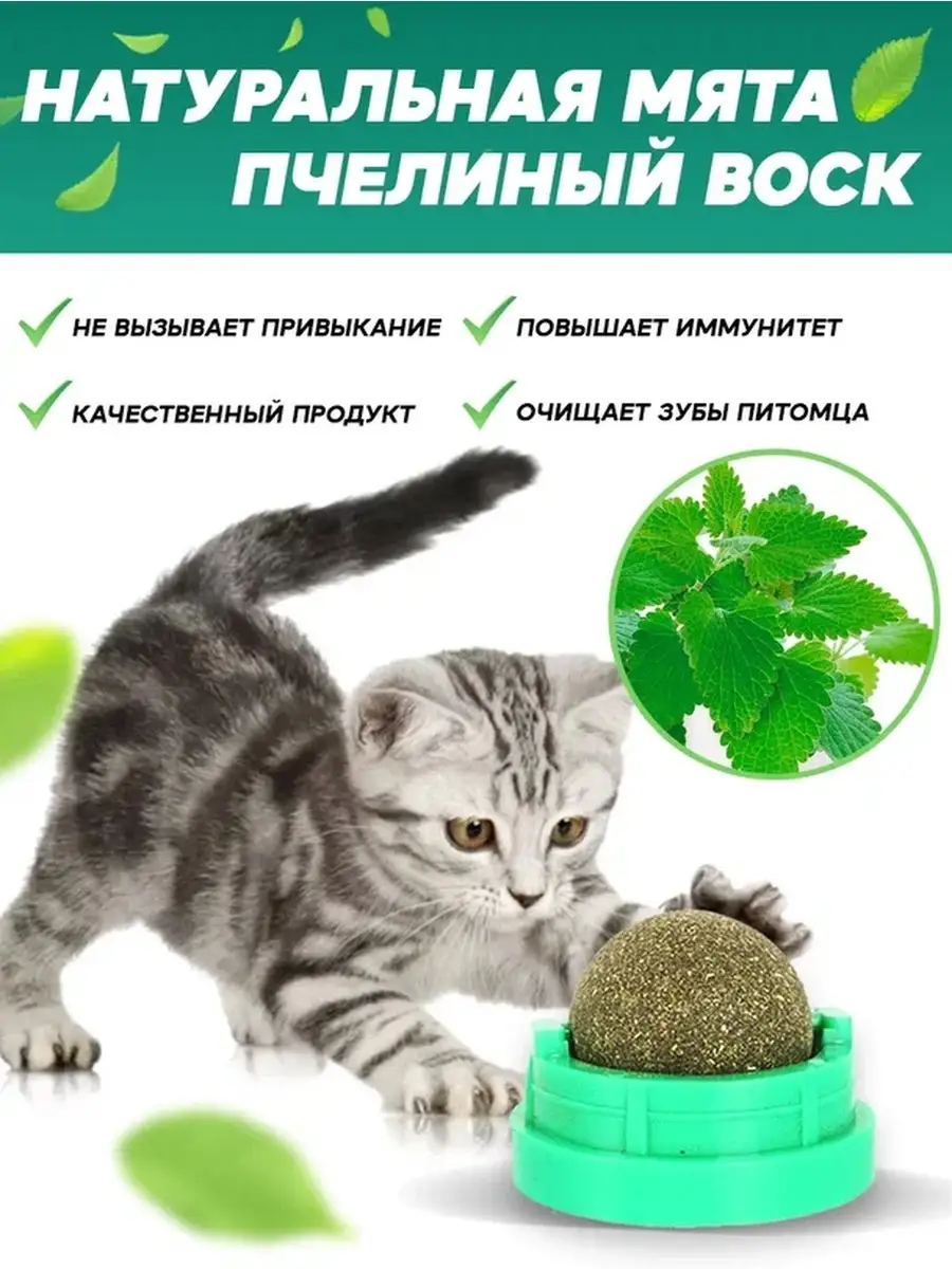 лакомство для кошки, товар для животных. CatMay Игрушка для кошек и котов ,  кошачья мята 73090431 купить за 109 ₽ в интернет-магазине Wildberries