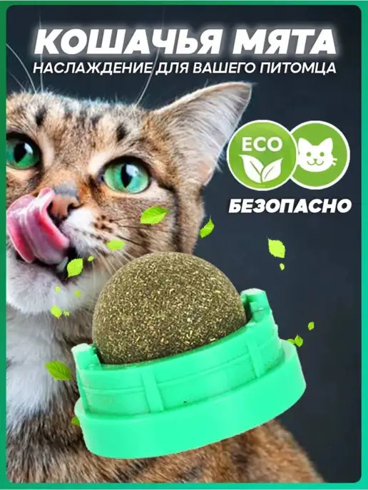 лакомство для кошки, товар для животных image