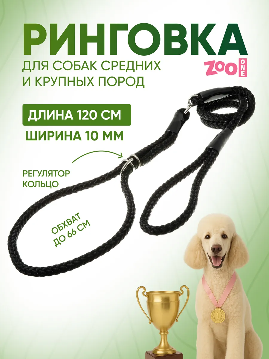 Ринговка для собак с кольцом, 10мм