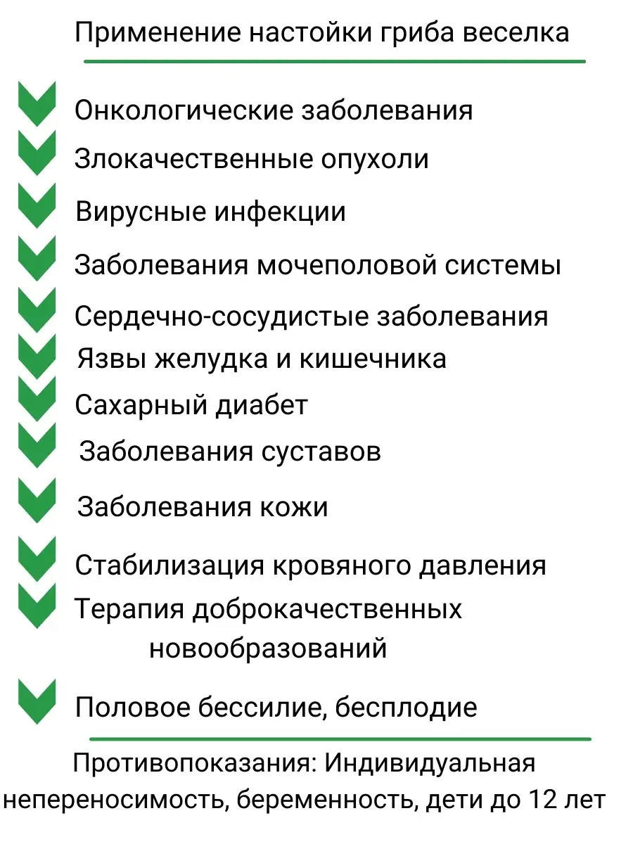 Настойка гриба Веселка 250 мл Долголетов 73211349 купить за 1 173 ₽ в  интернет-магазине Wildberries