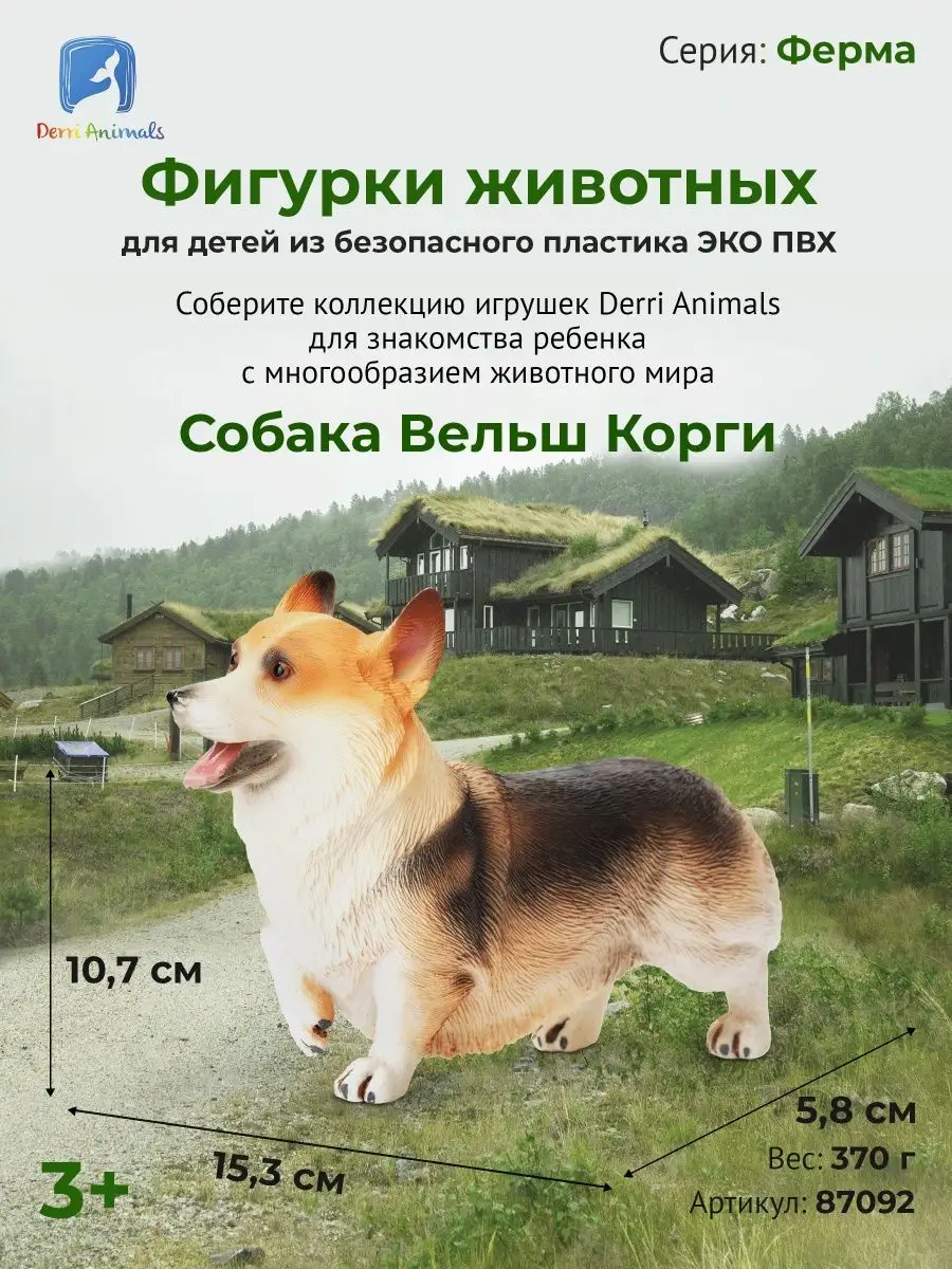 Фигурка животного Собака Вельш Корги 87092 Derri Animals 73354259 купить за  835 ₽ в интернет-магазине Wildberries