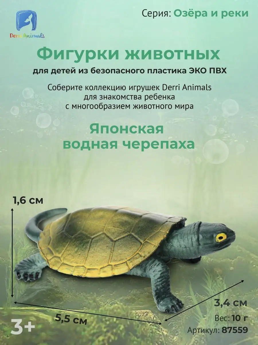 Фигурка животного Японская водная Черепаха 87559 Derri Animals 73354329  купить за 332 ₽ в интернет-магазине Wildberries