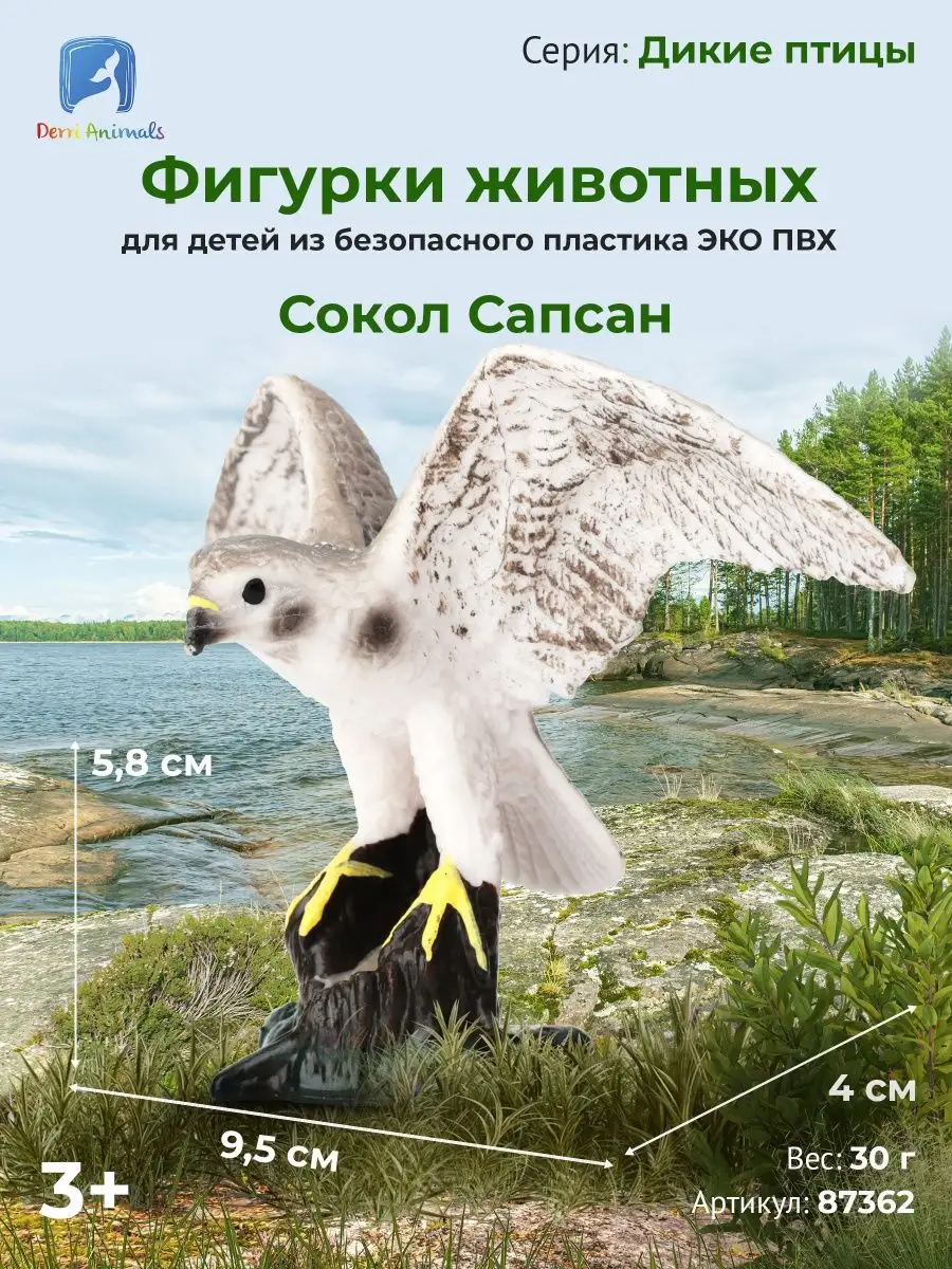 Фигурка животного Птица Сокол сапсан 87362 Derri Animals 73354397 купить за  352 ₽ в интернет-магазине Wildberries