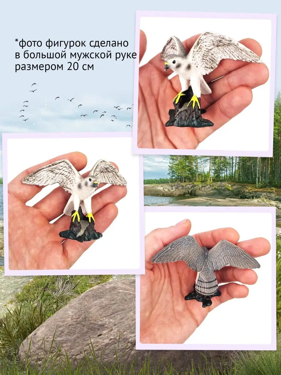 Фигурка животного Птица Сокол сапсан 87362 Derri Animals 73354397 купить за  352 ₽ в интернет-магазине Wildberries