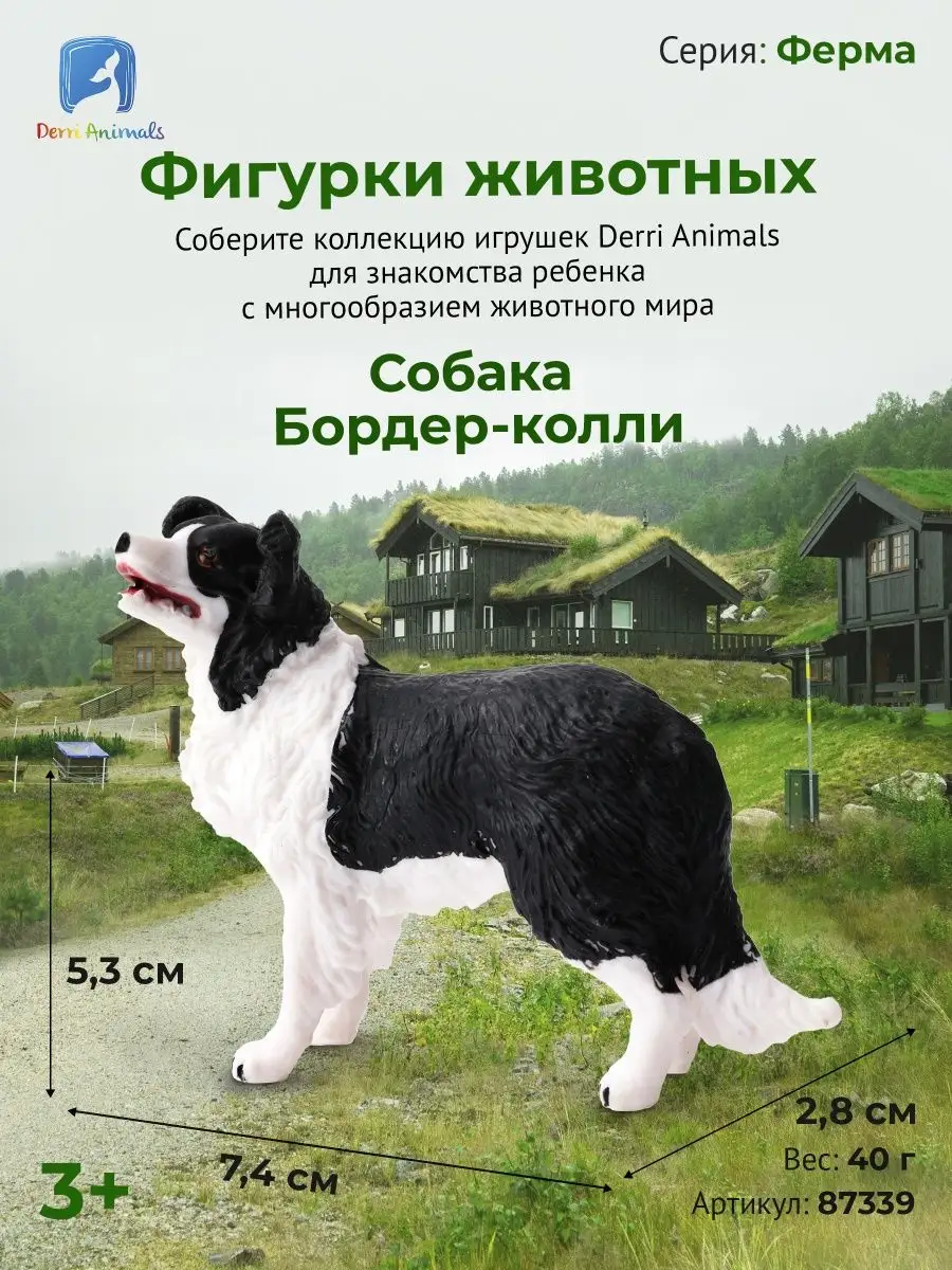 Фигурка Собака Бордер Колли, 87339 Derri Animals 73354461 купить за 359 ₽ в  интернет-магазине Wildberries