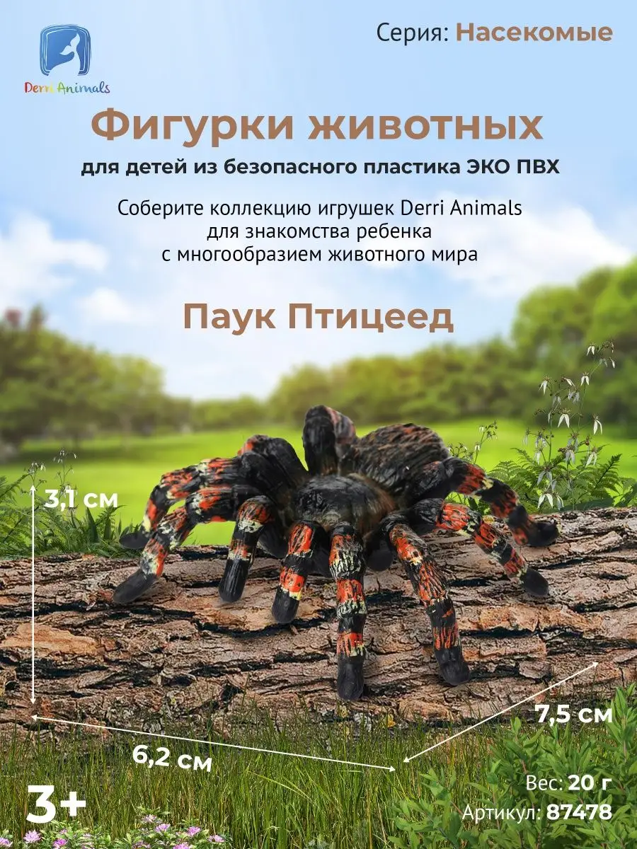 Фигурка животного Паук птицеед 87478 Derri Animals 73354482 купить за 433 ₽  в интернет-магазине Wildberries