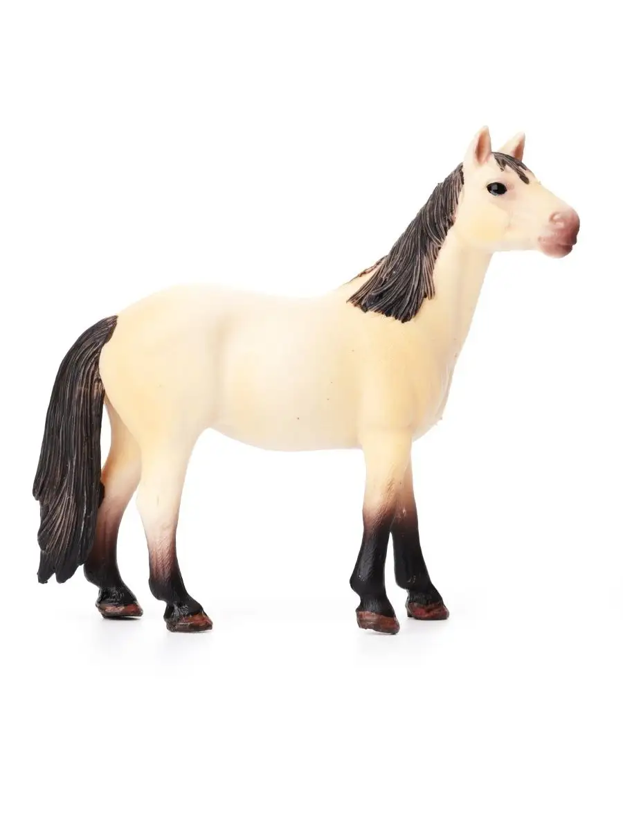 вагина лошади 