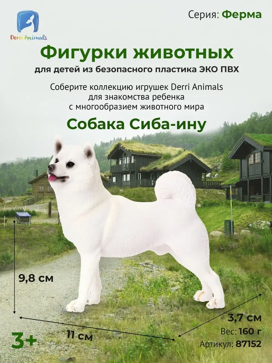 Сиба-ину: фото собаки, описание и характер породы - Purina ONE®