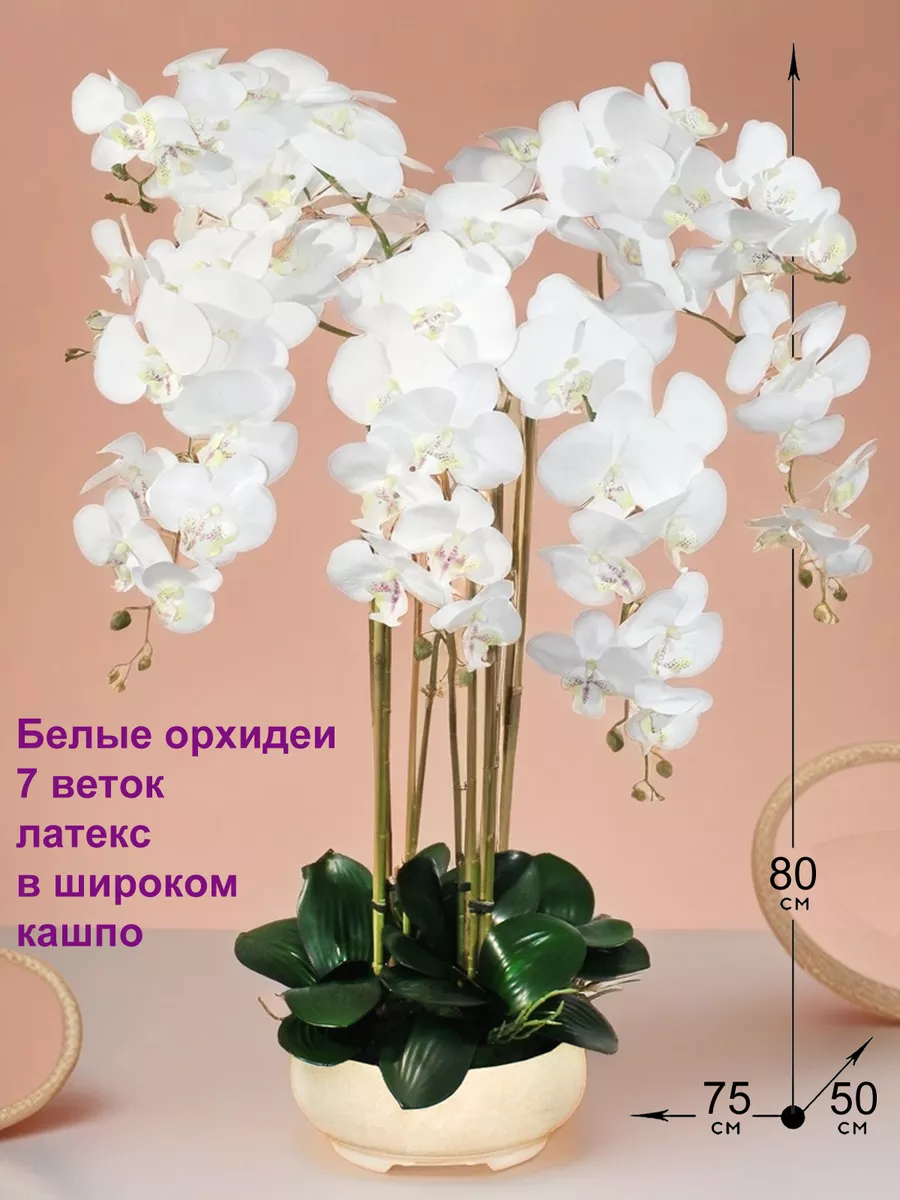 10 самых дорогих цветов в мире — abc-develop.ru - Страница 26