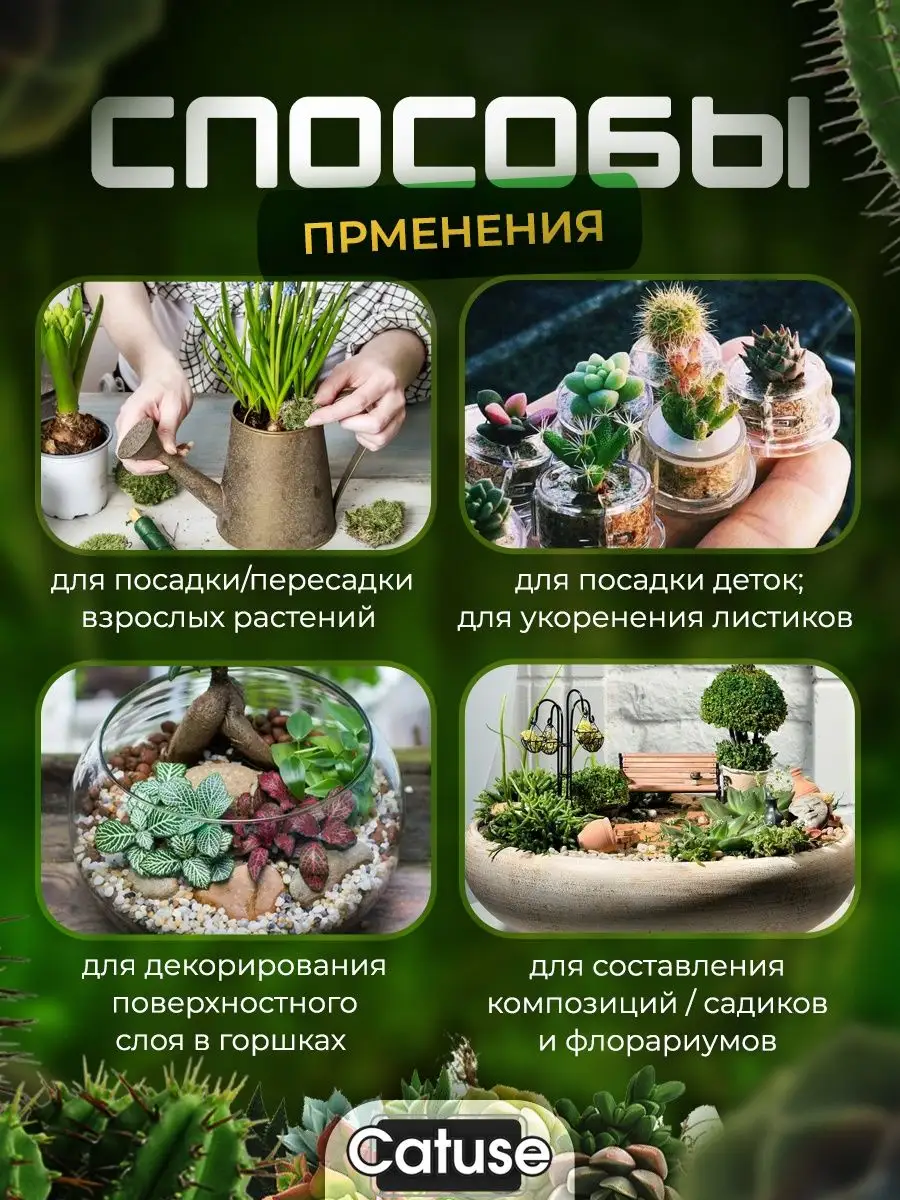 Грунт для суккулентов, кактусов, замиокулькаса, минеральный Catuse 73435193  купить за 449 ₽ в интернет-магазине Wildberries