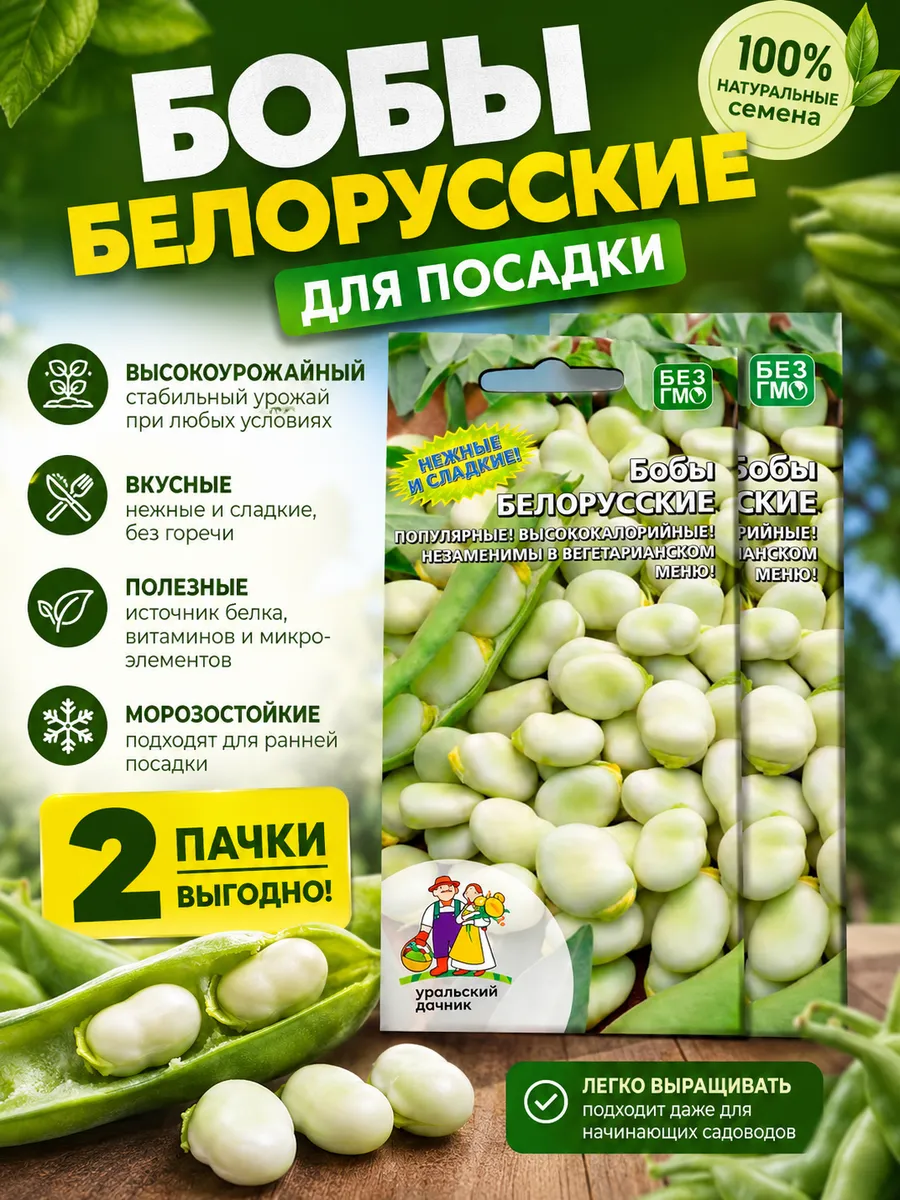 Семена Бобы Белорусские среднеспелые