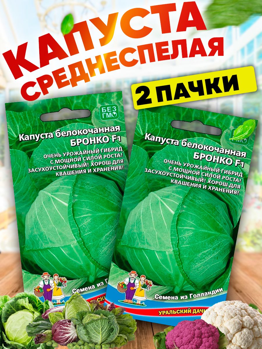 Капуста урал. Капуста Северянка Уральский Дачник.