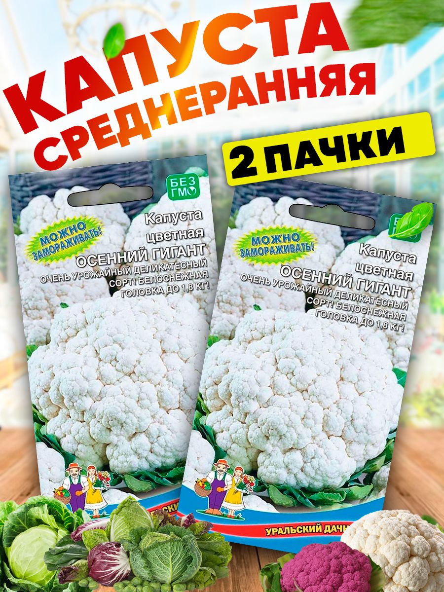 Цветная капуста гигант