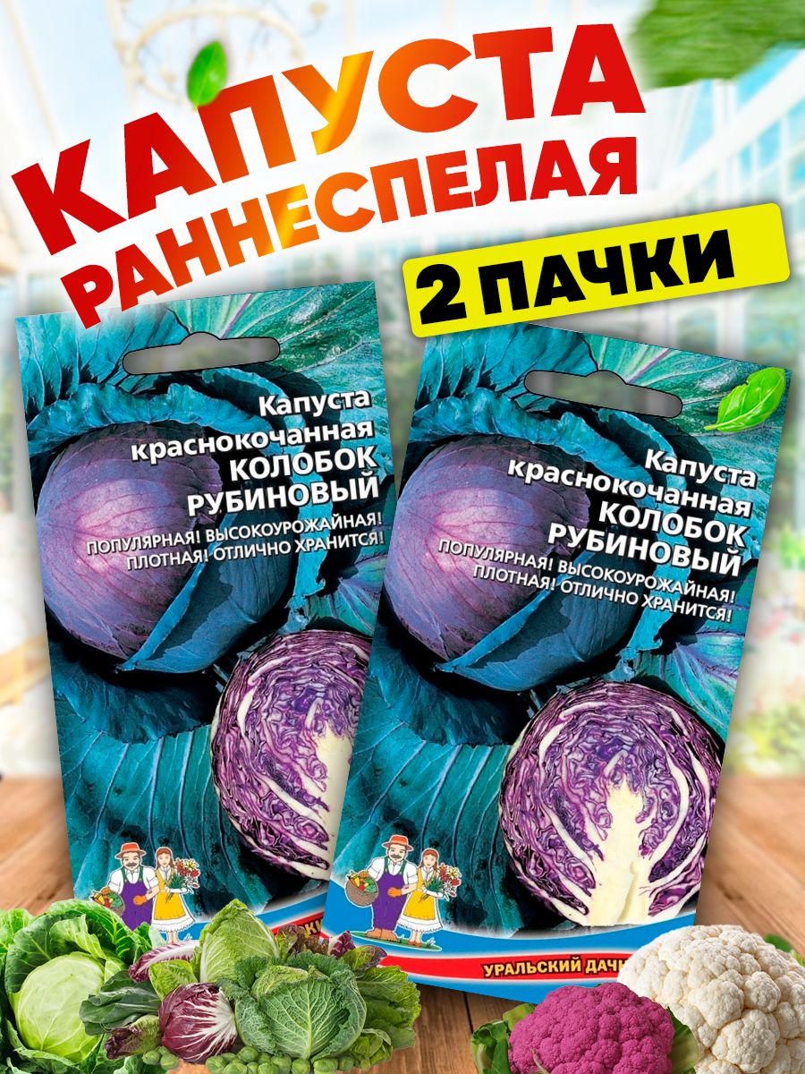 Краснокочанная капуста отзывы