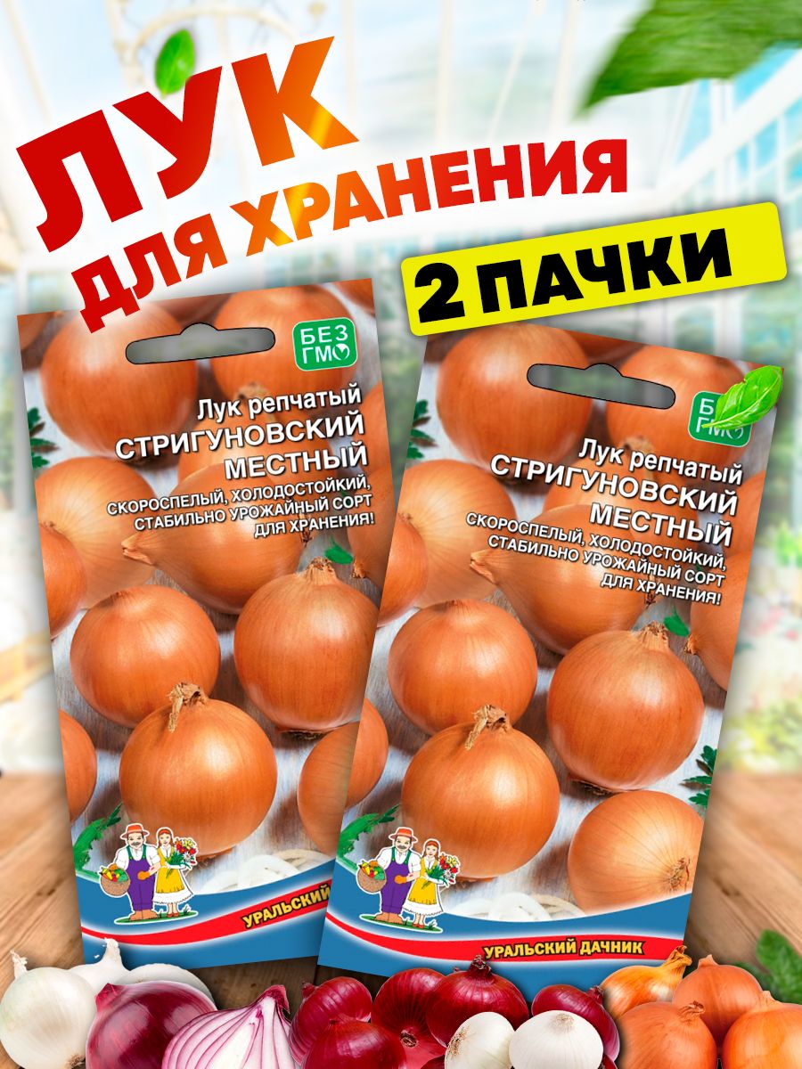 Лук репчатый стригуновский местный