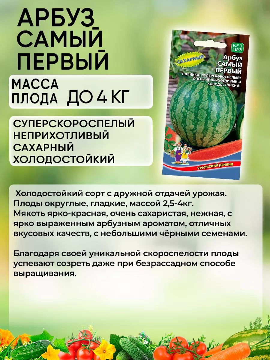 Семена арбуза Самый Первый Уральский Дачник 73505652 купить за 165 ₽ в  интернет-магазине Wildberries