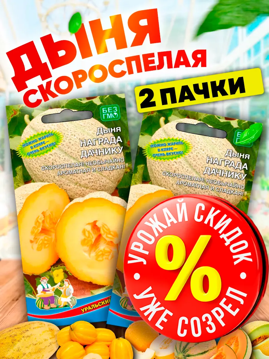 Семена дыни Награда дачнику