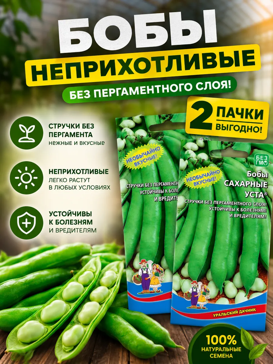 Семена бобов Сахарные Уста