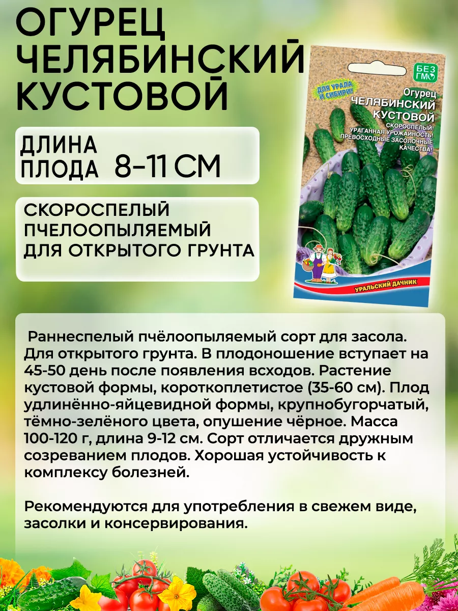 Семена Огурцов Челябинский Кустовой Уральский Дачник 73506161 купить за 157  ₽ в интернет-магазине Wildberries