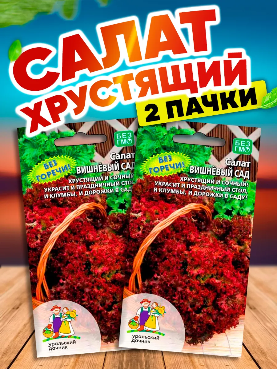 Семена Салата Вишневый сад для открытого грунта и теплицы