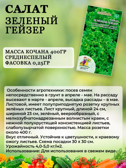 Уральский дачник оригинал Семена Салата листового Зеленый Гейзер, зеленый, фото 2