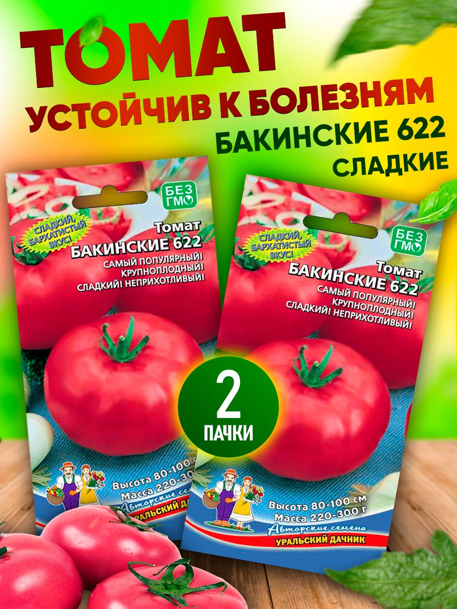 Бакинское 622. Томат Бакинские 622. Томат Бакинский 622 отзывы. Томат Бакинский 622 характеристика и описание сорта фото. Томат Бакинский 622 описание сорта фото отзывы.