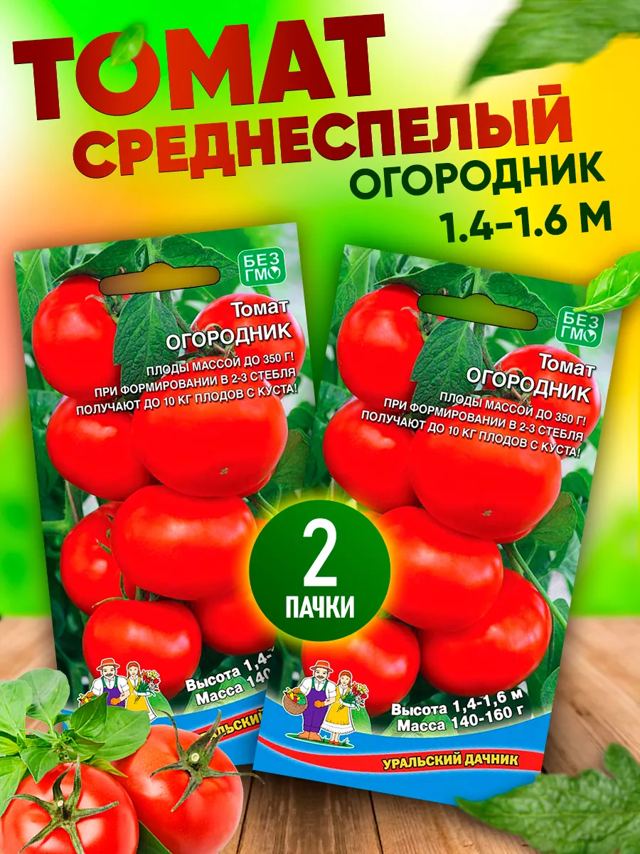 Помидор огородник описание сорта фото отзывы. Томат Урал. Помидоры огородник. Уральский Дачник семена томатов каталог. Томаты Уральский Дачник каталог.