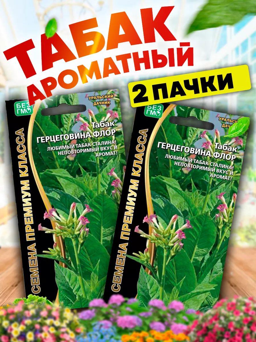 Семена табака Герцеговина Флор Уральский Дачник 73506735 купить за 174 ₽ в  интернет-магазине Wildberries