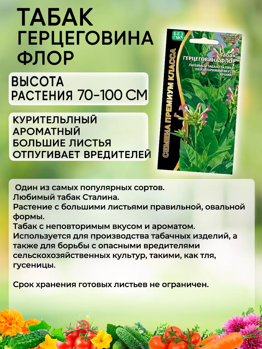 Семена табака Герцеговина Флор Уральский Дачник 73506735 купить за 172 ₽ в  интернет-магазине Wildberries