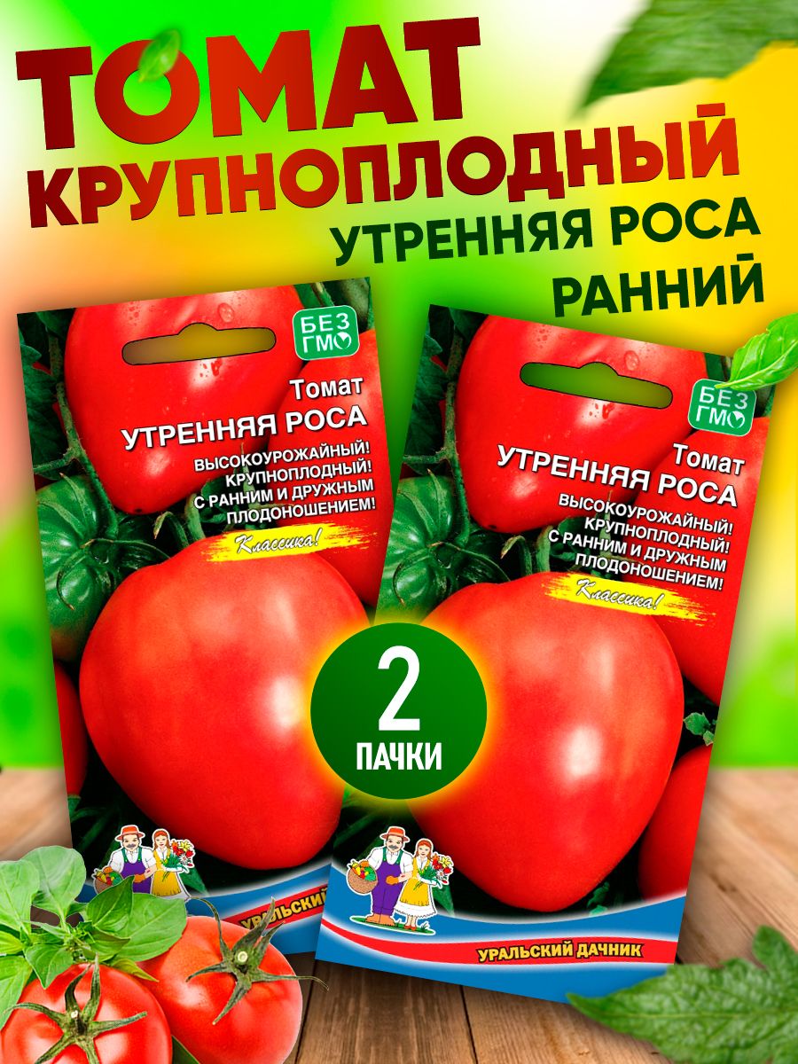 Сорта томатов утренняя роса. Помидоры Утренняя роса. Томат утро. Помидор Утренняя роса описание. Томат Утренняя роса 0,1гр/10.