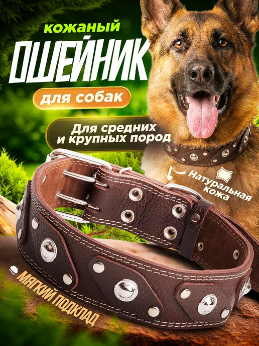 Emotico.Pets Ошейник для собак кожаный, коричневый