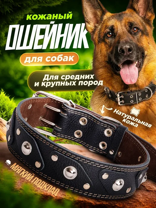 Emotico.Pets Ошейник для собак кожаный, черный